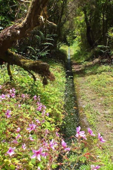 Santana Central Garden Wifi Park Quiet Area 12D Luaran gambar